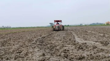 5 توصيات زراعية.. خطة ضمان نجاح إنتاج محاصيل فصلي الشتاء والربيع